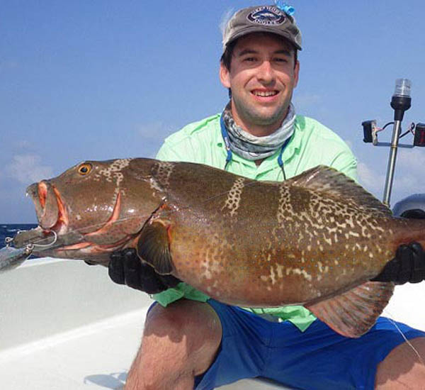 Die Coral Trout gehört zu den Groupern und kann sowohl mit Jigs als auch mit Oberflächenködern gefangen werden
